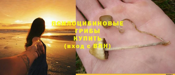 крисы Богданович