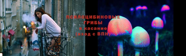 крисы Богданович
