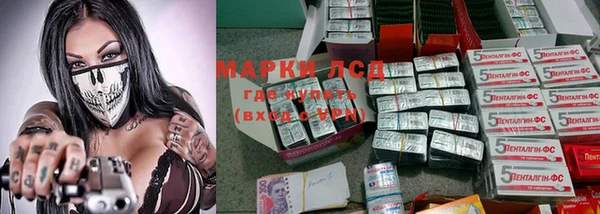 крисы Богданович