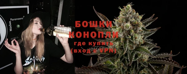 крисы Богданович