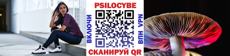 купить   Ставрополь  Галлюциногенные грибы ЛСД 
